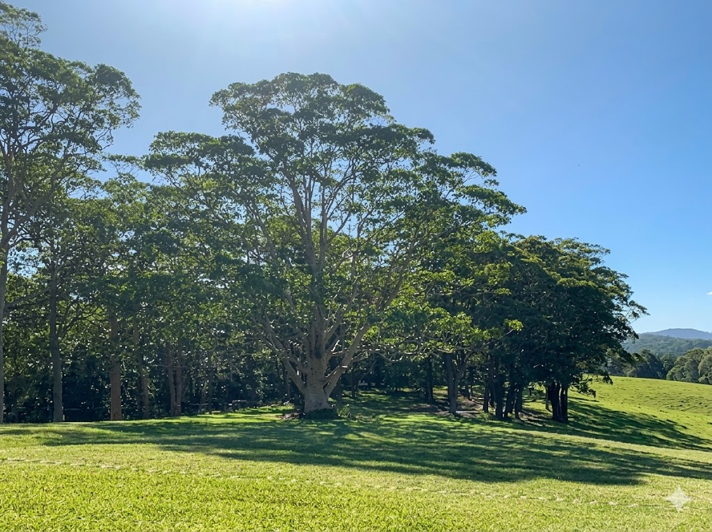  Ever thought of a Sea Change or rather a Tree Change